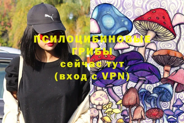 прущая мука Приозерск