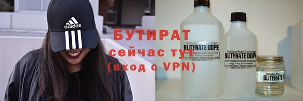 прущие грибы Дмитриев