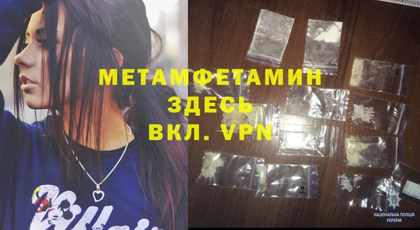прущие грибы Дмитриев