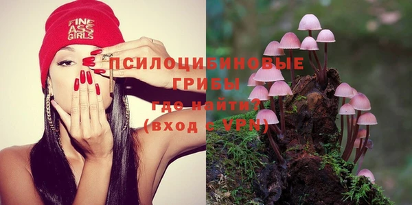 прущие грибы Дмитриев