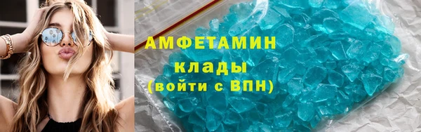прущие грибы Дмитриев