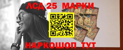 гидропоника Краснодар
