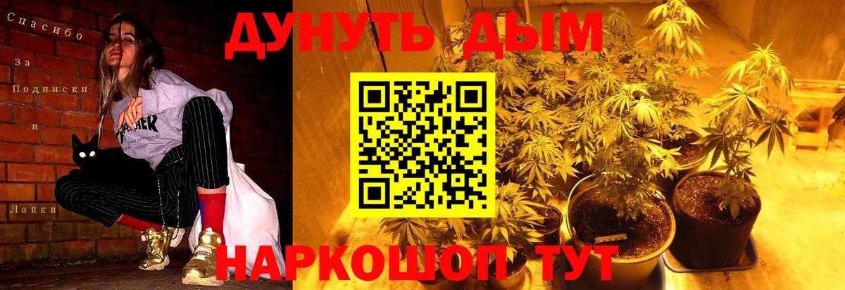 Каннабис ГИДРОПОН  Бошки Шишки MAZAR  Сафоново  Марихуана семена  Вход с VPN  Конопля ГИДРОПОН 